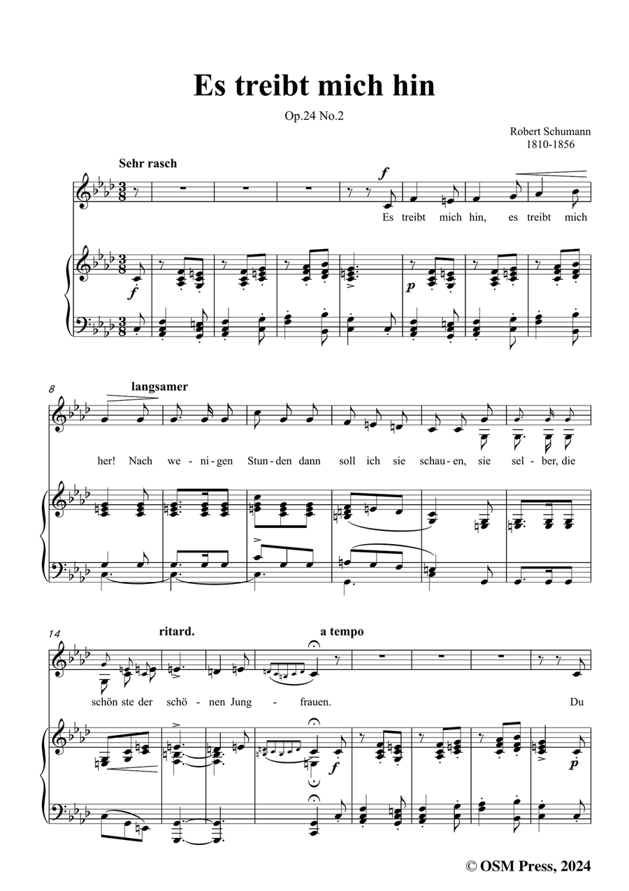 R. Schumann-Es treibt mich hin,in f minor Piano, Vocal scores gallery preview page 3