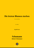 R. Schumann-Die letzten Blumen starben,in a minor