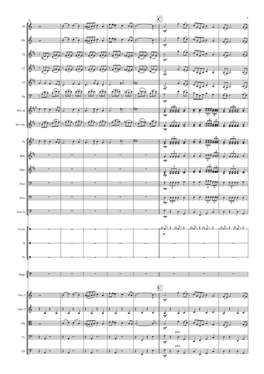Marche Slave - Student Orchestra - Level 3,5 Full Orchestra scores gallery preview page 3