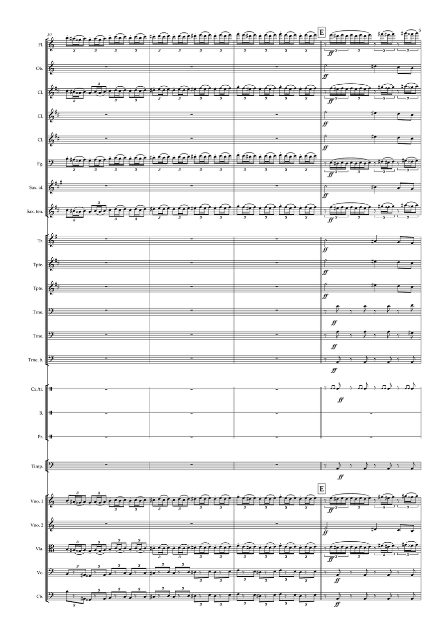 Marche Slave - Student Orchestra - Level 3,5 Full Orchestra scores gallery preview page 5