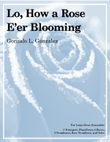 Lo, How a Rose E'er Blooming