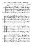 Jesu, Joy of Man's Desire - from Cantata BWV 147 Hertz und Mund und Tat und Leben (Jesu bleibet)