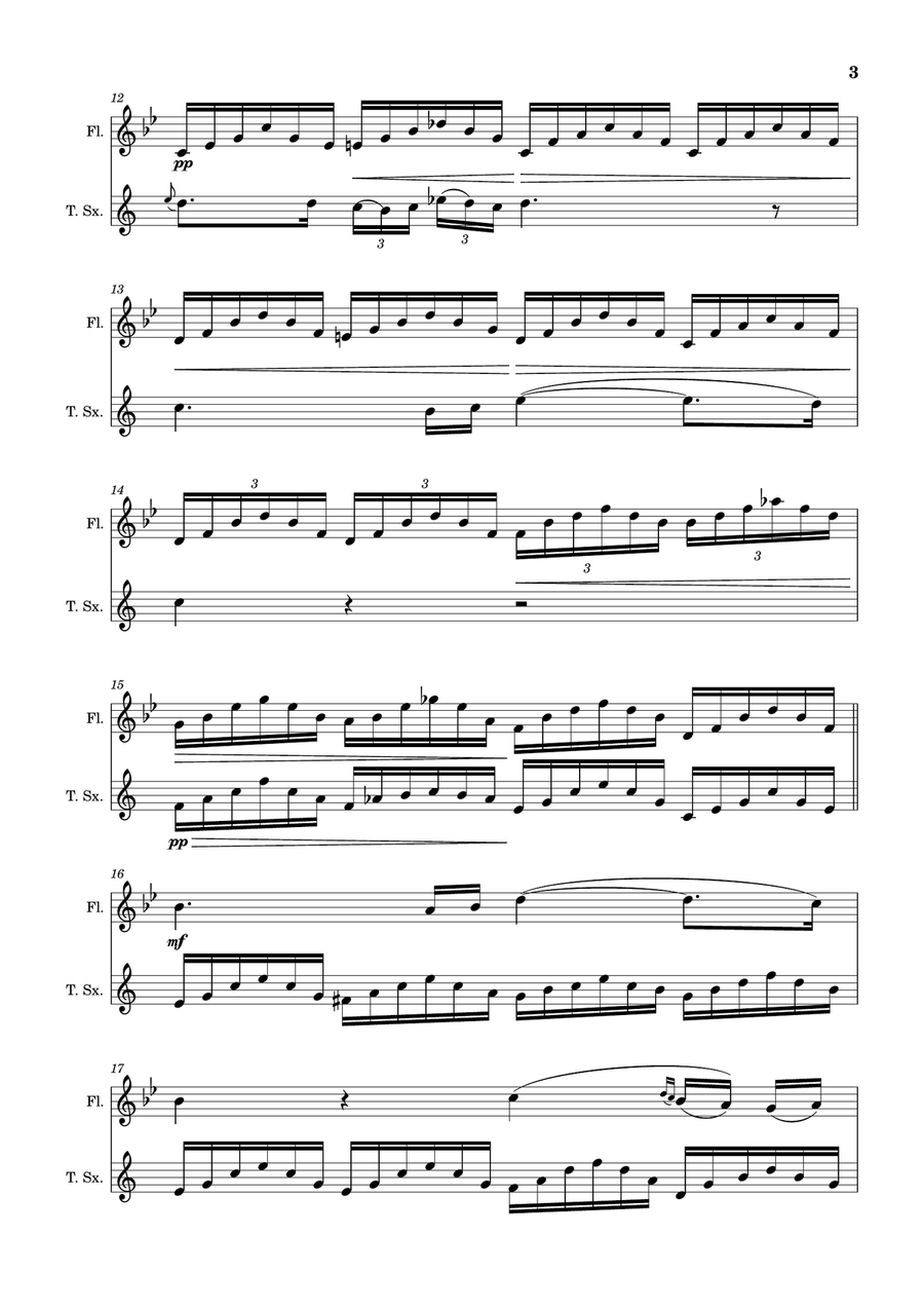 Ave Maria by F. Schubert – Arranged for Flute and T. Sax Woodwind Duet scores gallery preview page 3