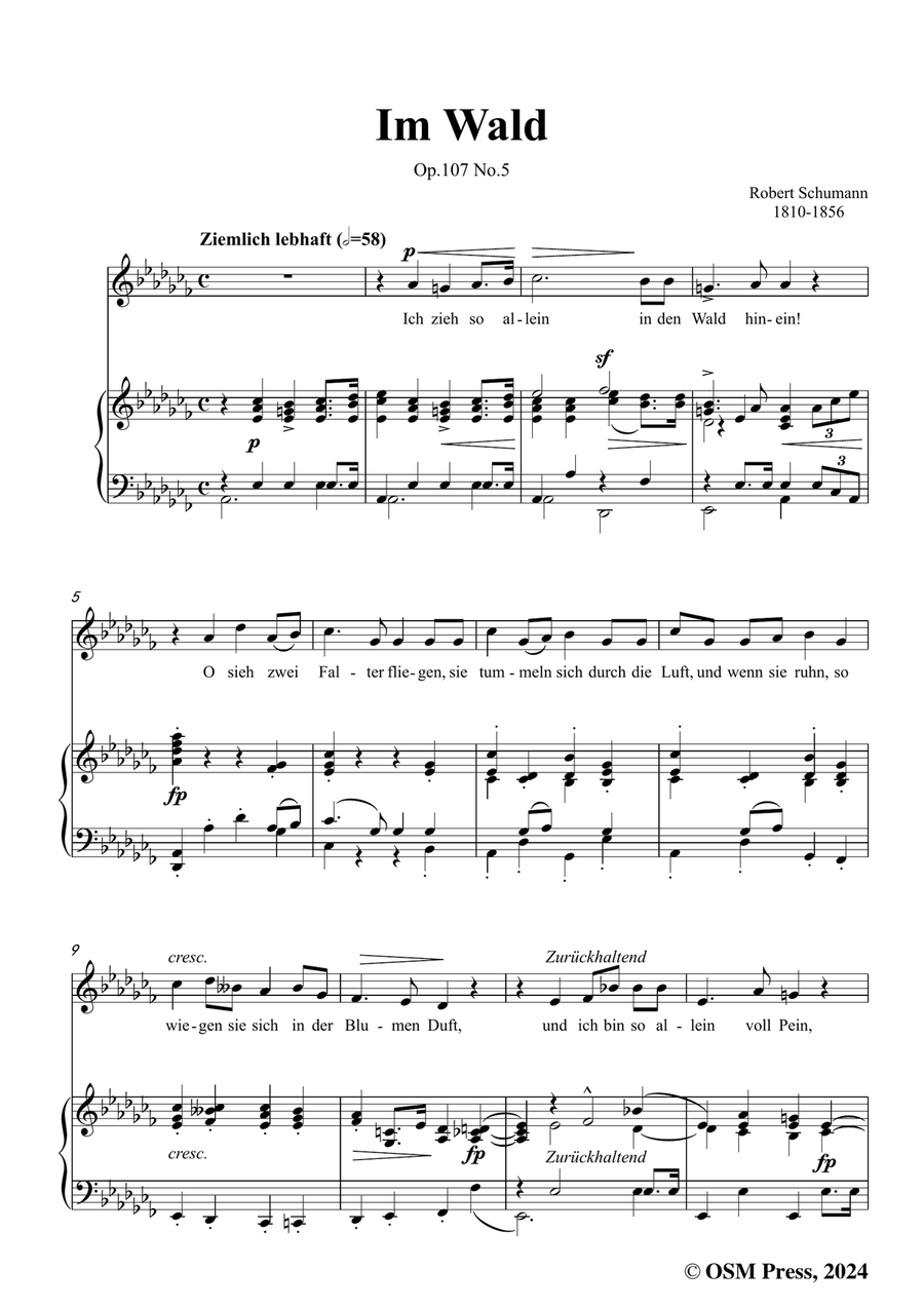 R. Schumann-Im Wald,in a flat minor Piano, Vocal scores gallery preview page 3