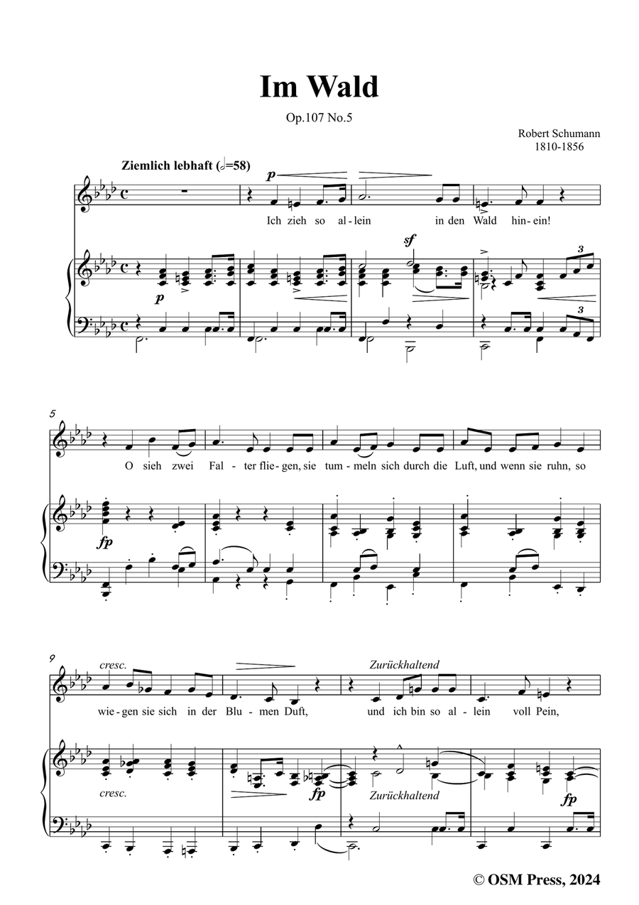 R. Schumann-Im Wald,in f minor Piano, Vocal scores gallery preview page 3