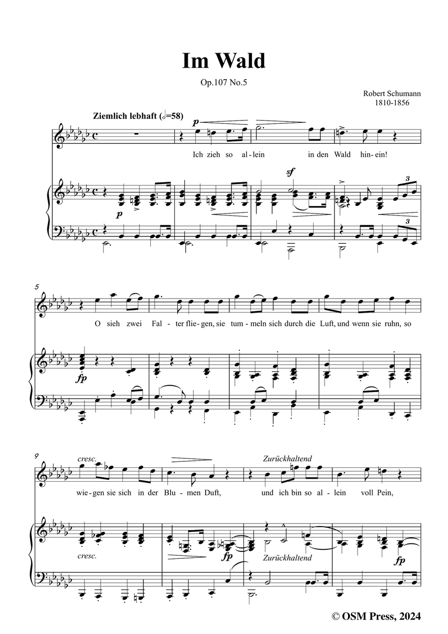 R. Schumann-Im Wald,in e flat minor Piano, Vocal scores gallery preview page 3