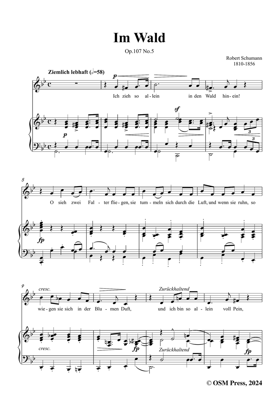 R. Schumann-Im Wald,in g minor Piano, Vocal scores gallery preview page 3