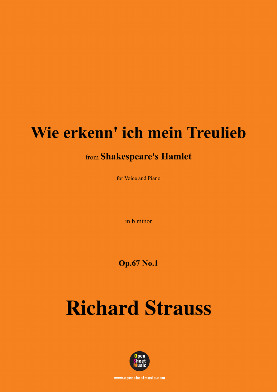 Richard Strauss-Wie erkenn' ich mein Treulieb,in b minor Piano, Vocal scores gallery preview page 1