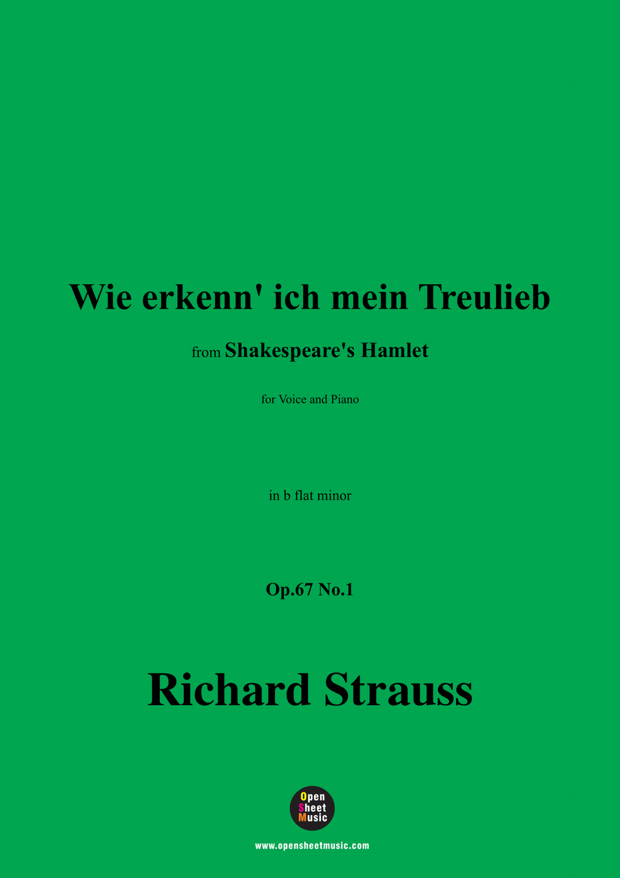 Richard Strauss-Wie erkenn' ich mein Treulieb,in b flat minor Piano, Vocal scores gallery preview page 1