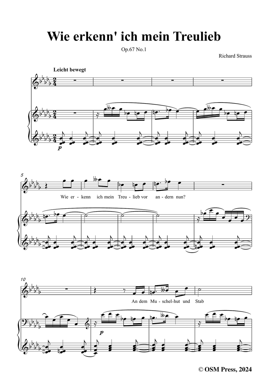Richard Strauss-Wie erkenn' ich mein Treulieb,in b flat minor Piano, Vocal scores gallery preview page 3