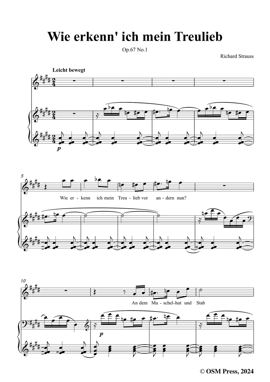 Richard Strauss-Wie erkenn' ich mein Treulieb,in c sharp minor Piano, Vocal scores gallery preview page 3
