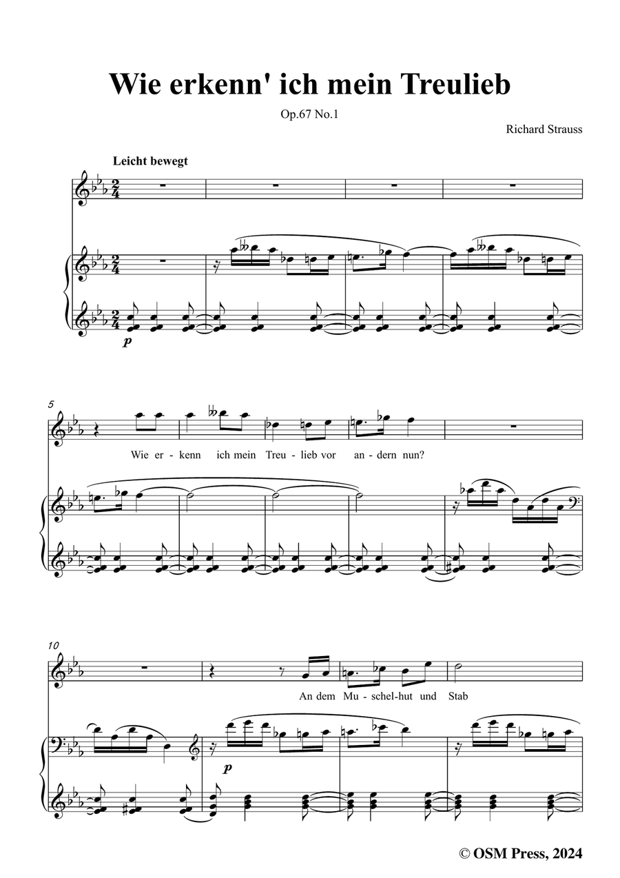 Richard Strauss-Wie erkenn' ich mein Treulieb,in c minor Piano, Vocal scores gallery preview page 3