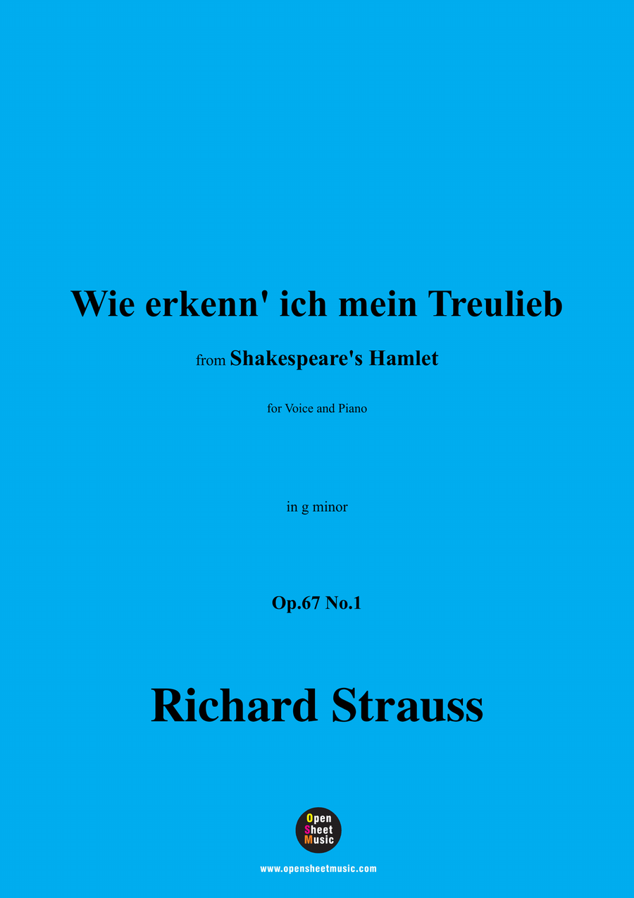 Richard Strauss-Wie erkenn' ich mein Treulieb,in g minor Piano, Vocal scores gallery preview page 1