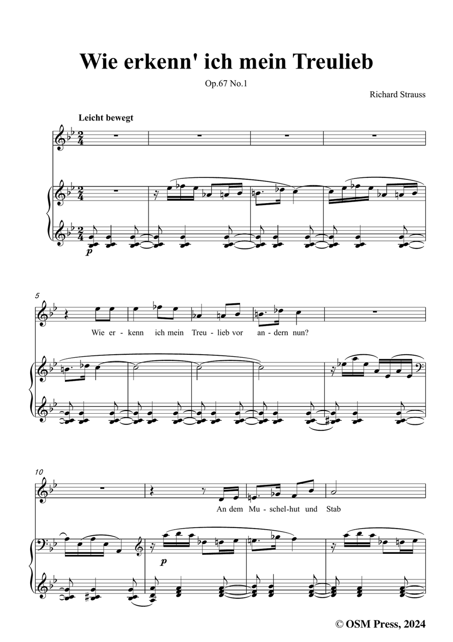 Richard Strauss-Wie erkenn' ich mein Treulieb,in g minor Piano, Vocal scores gallery preview page 3