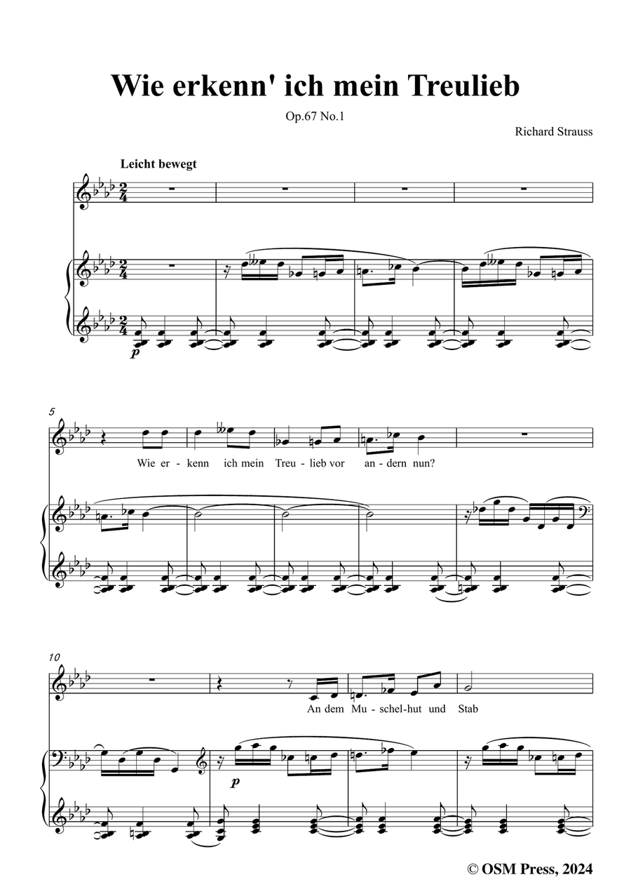 Richard Strauss-Wie erkenn' ich mein Treulieb,in f minor Piano, Vocal scores gallery preview page 3