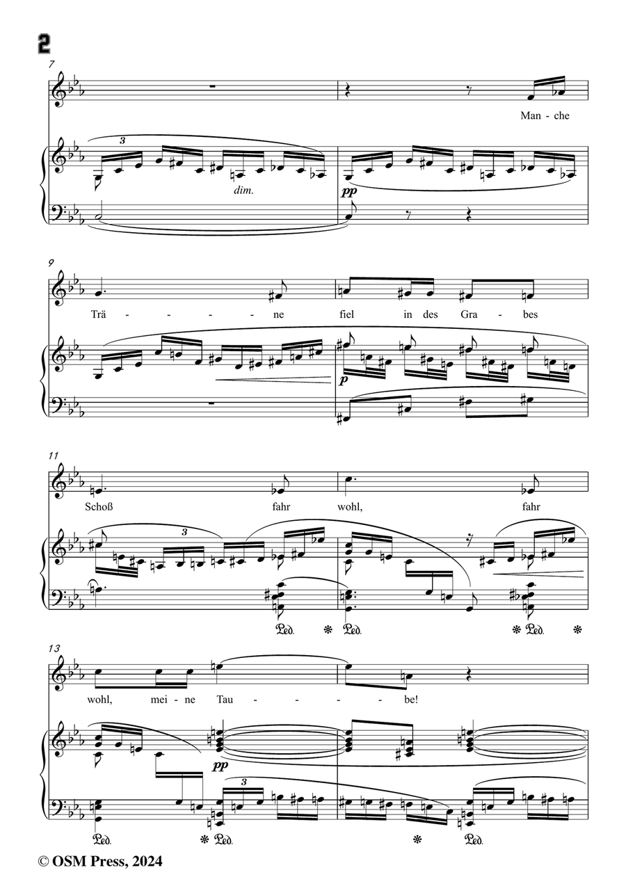 Richard Strauss-Sie trugen ihn auf der Bahre bloß,in c minor Piano, Vocal scores gallery preview page 4