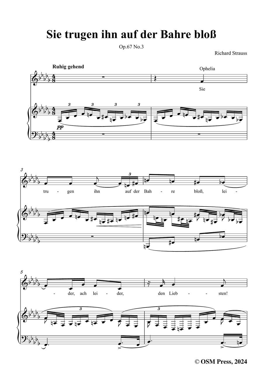 Richard Strauss-Sie trugen ihn auf der Bahre bloß,in b flat minor Piano, Vocal scores gallery preview page 3
