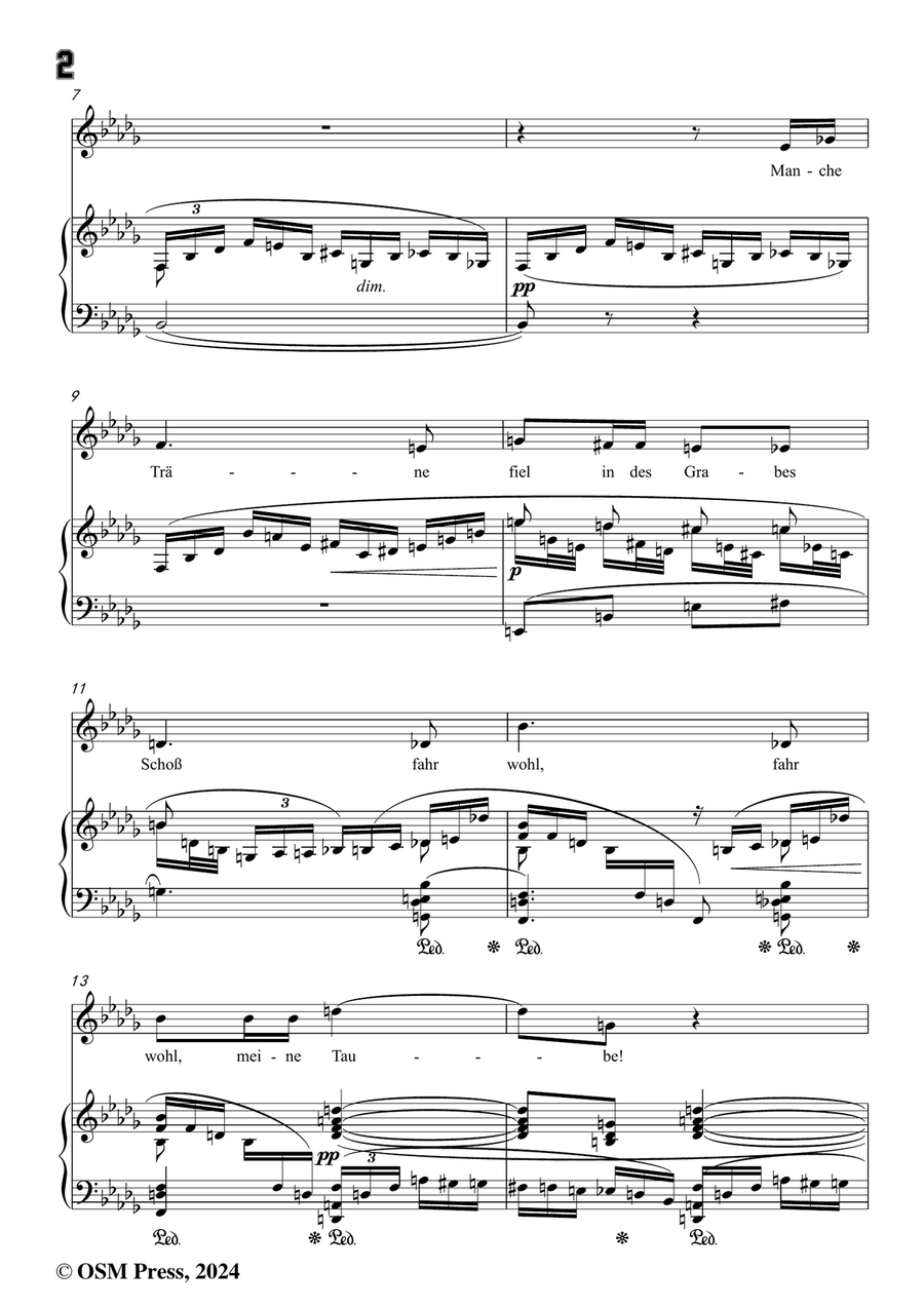 Richard Strauss-Sie trugen ihn auf der Bahre bloß,in b flat minor Piano, Vocal scores gallery preview page 4