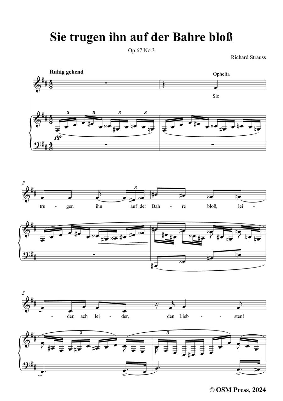 Richard Strauss-Sie trugen ihn auf der Bahre bloß,in b minor Piano, Vocal scores gallery preview page 3