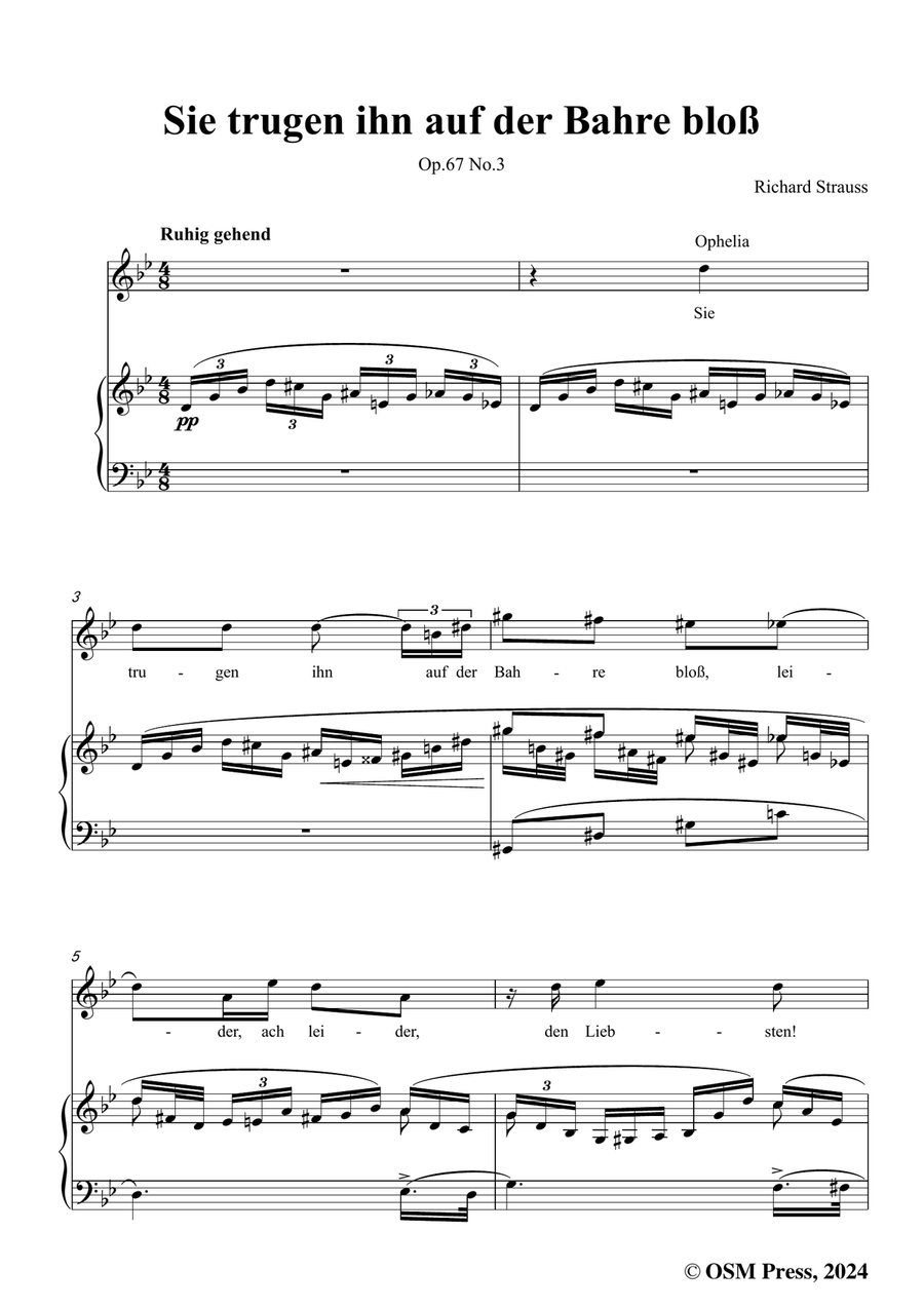 Richard Strauss-Sie trugen ihn auf der Bahre bloß,in g minor Piano, Vocal scores gallery preview page 3