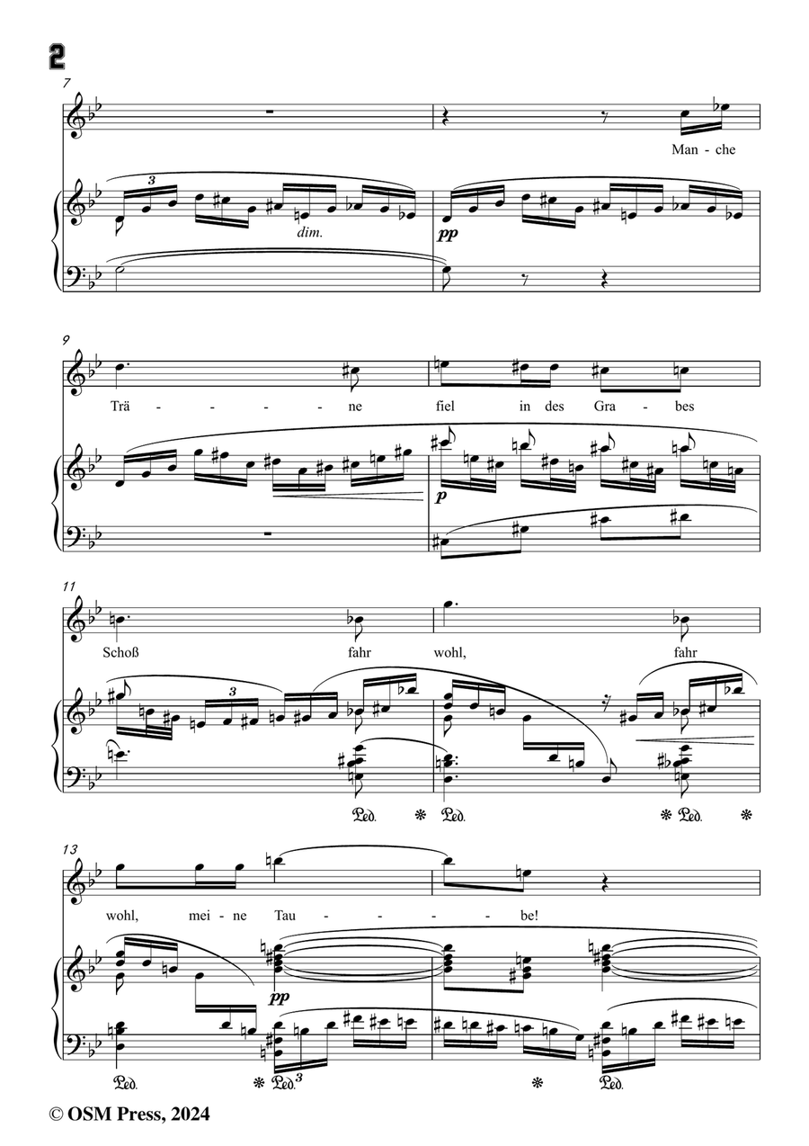 Richard Strauss-Sie trugen ihn auf der Bahre bloß,in g minor Piano, Vocal scores gallery preview page 4