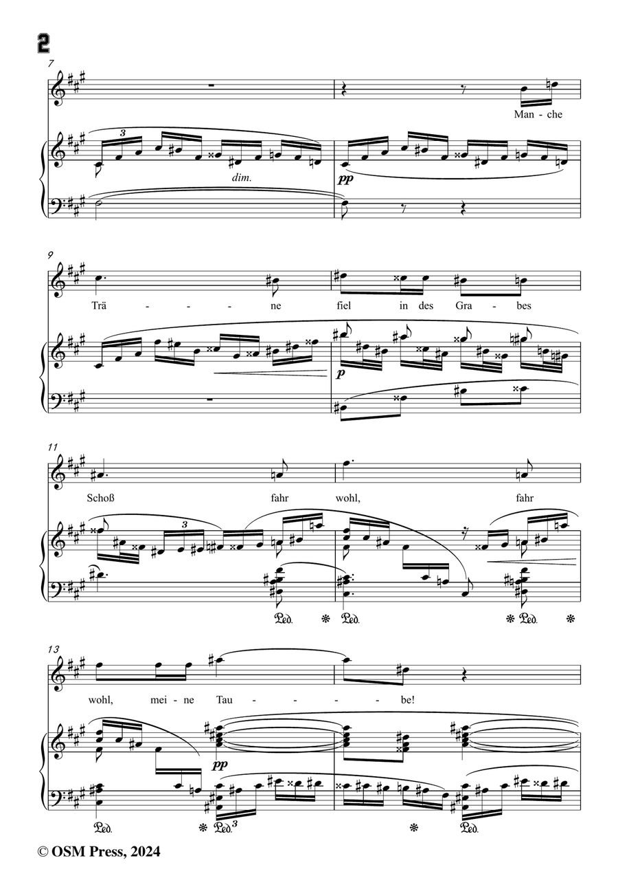 Richard Strauss-Sie trugen ihn auf der Bahre bloß,in f sharp minor Piano, Vocal scores gallery preview page 4