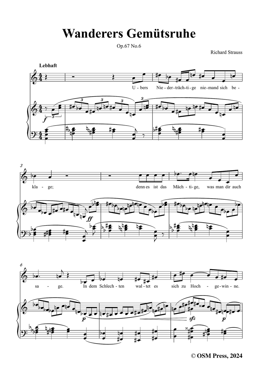 Richard Strauss-Wanderers Gemütsruhe,in a minor Piano, Vocal scores gallery preview page 3