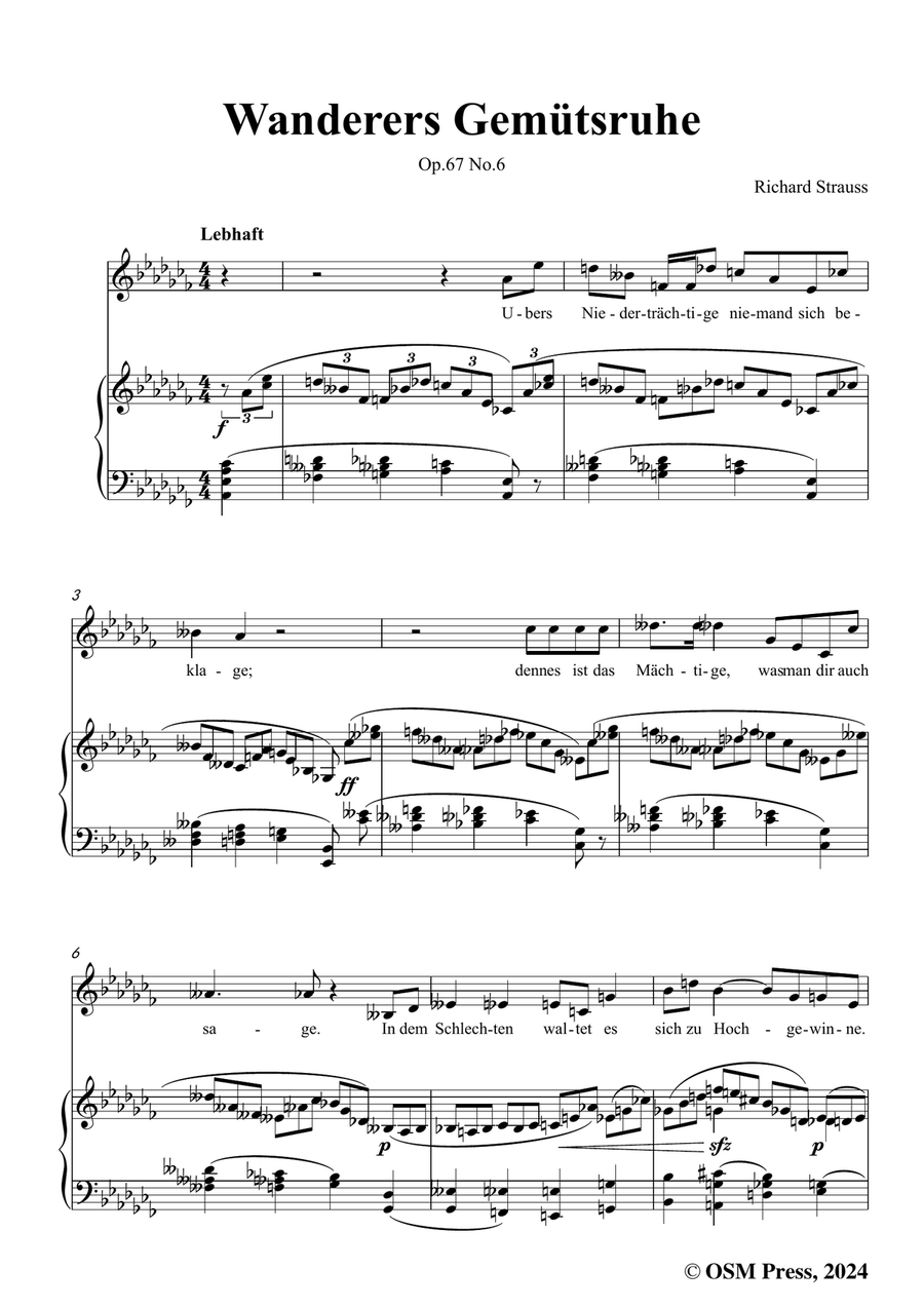 Richard Strauss-Wanderers Gemütsruhe,in a flat minor Piano, Vocal scores gallery preview page 3