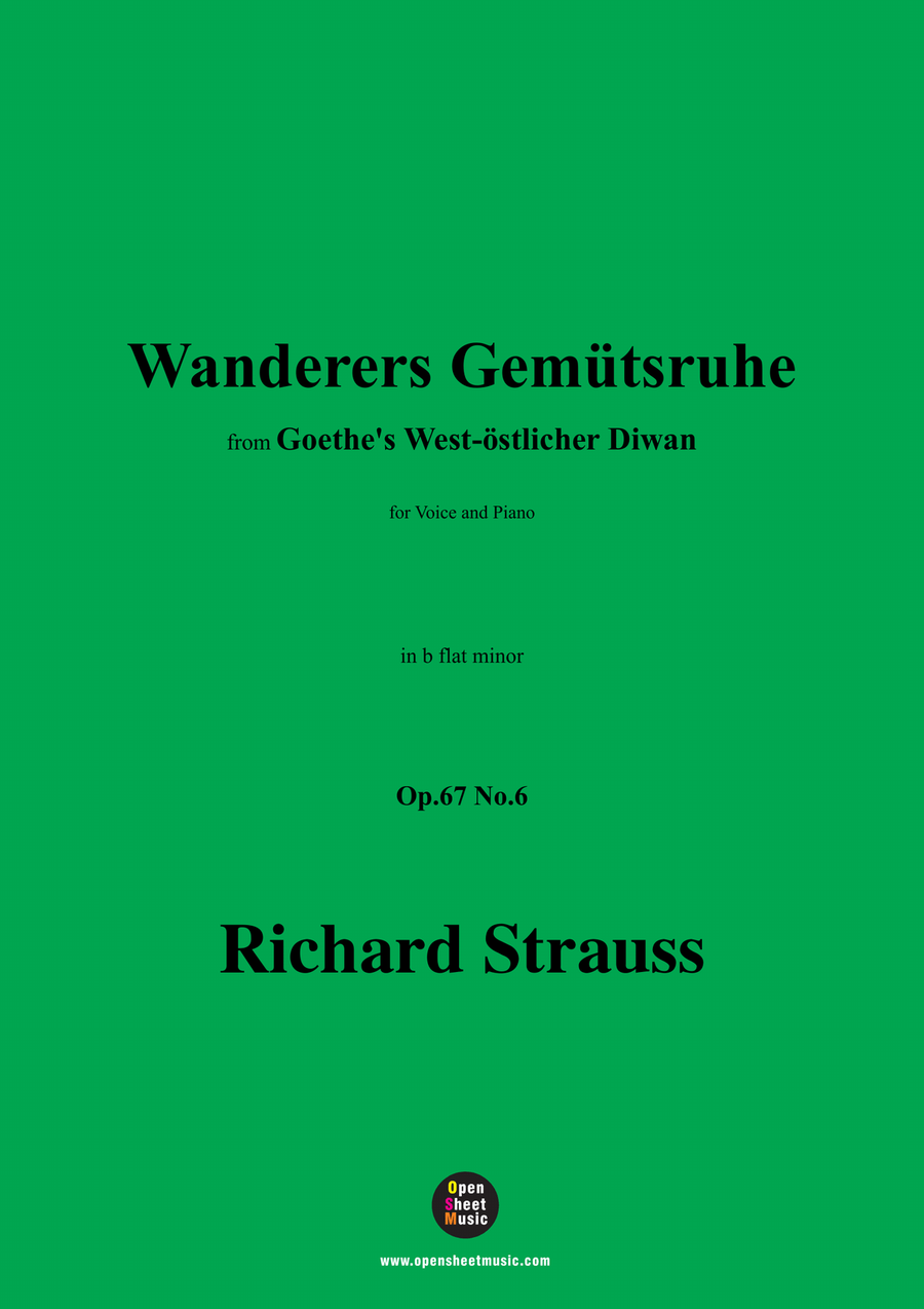Richard Strauss-Wanderers Gemütsruhe,in b flat minor Piano, Vocal scores gallery preview page 1