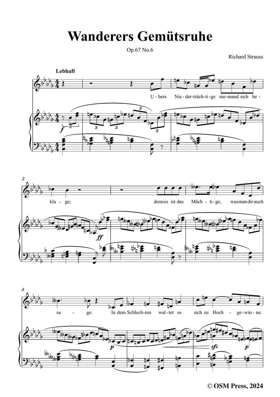 Richard Strauss-Wanderers Gemütsruhe,in b flat minor Piano, Vocal scores gallery preview page 3