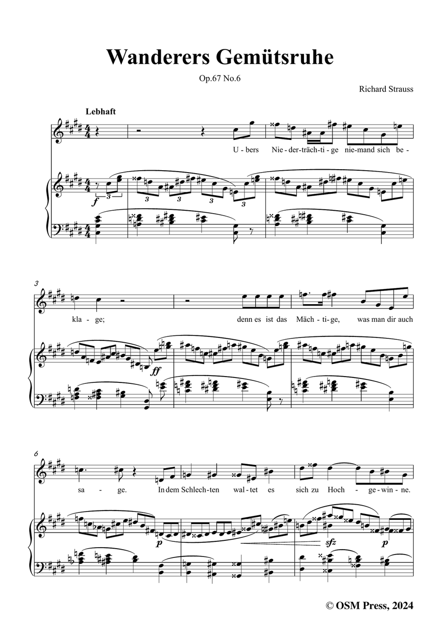 Richard Strauss-Wanderers Gemütsruhe,in c sharp minor Piano, Vocal scores gallery preview page 3