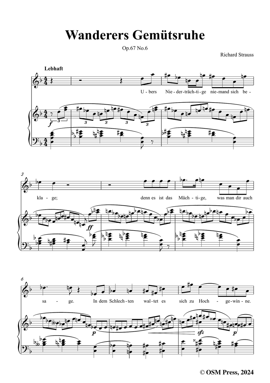 Richard Strauss-Wanderers Gemütsruhe,in d minor Piano, Vocal scores gallery preview page 3
