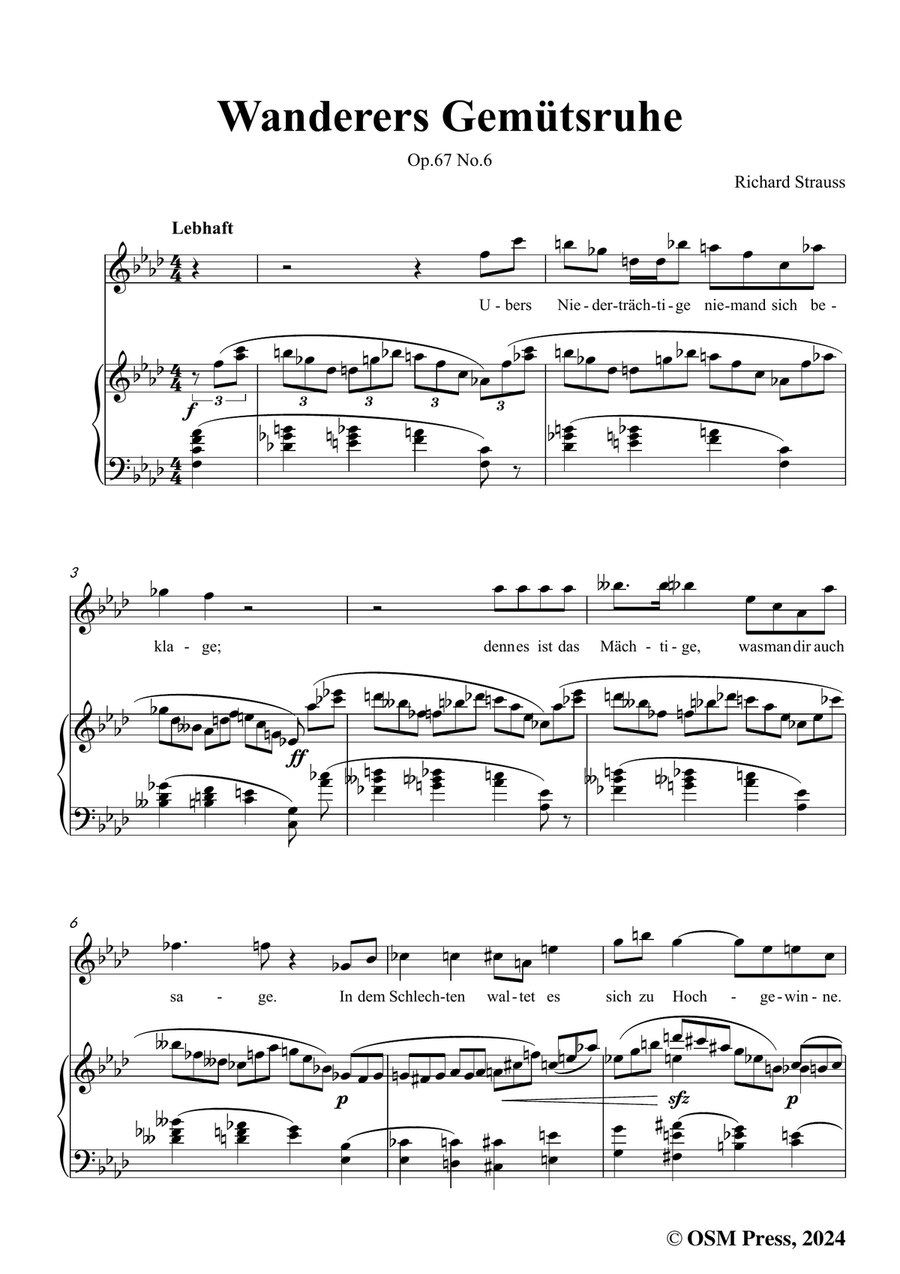 Richard Strauss-Wanderers Gemütsruhe,in f minor Piano, Vocal scores gallery preview page 3