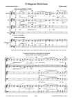 O Magnum Mysterium (a cappella)