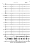 Niuyor, Niuyor - CONCERT BAND + Rhythm section
