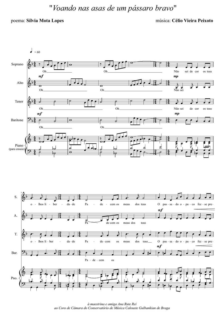 Flying on the wings of a brave bird (Voando nas asas de um pássaro bravo) Divisi scores gallery preview page 1