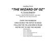 Medley: Over The Rainbow with Ding-Dong! The Witch Is Dead, Follow The Yellow Brick Road, and We'...