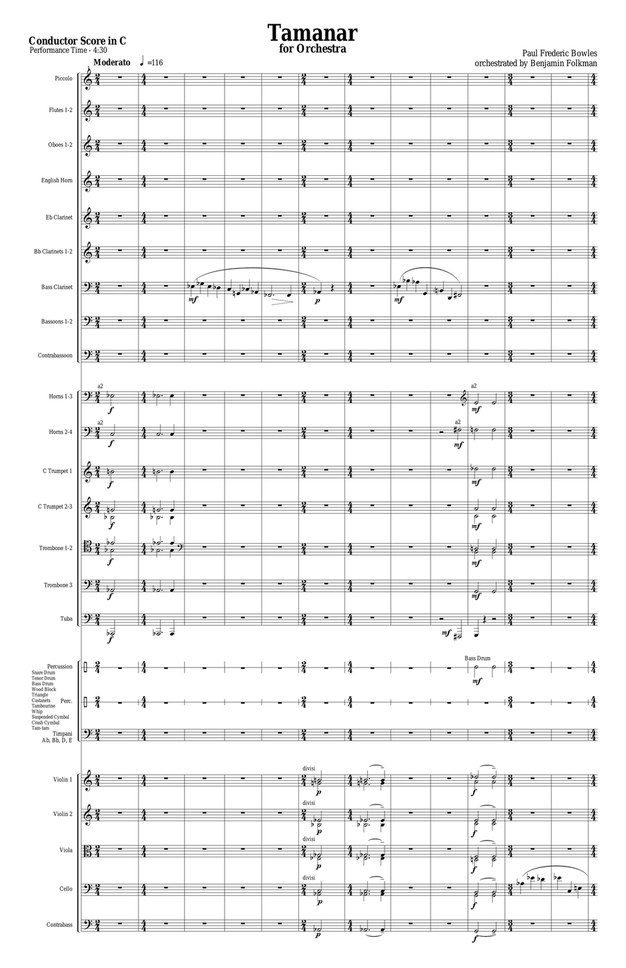 Tamanar for Orchestra Tamanar for Orchestra Full Orchestra scores gallery preview page 2