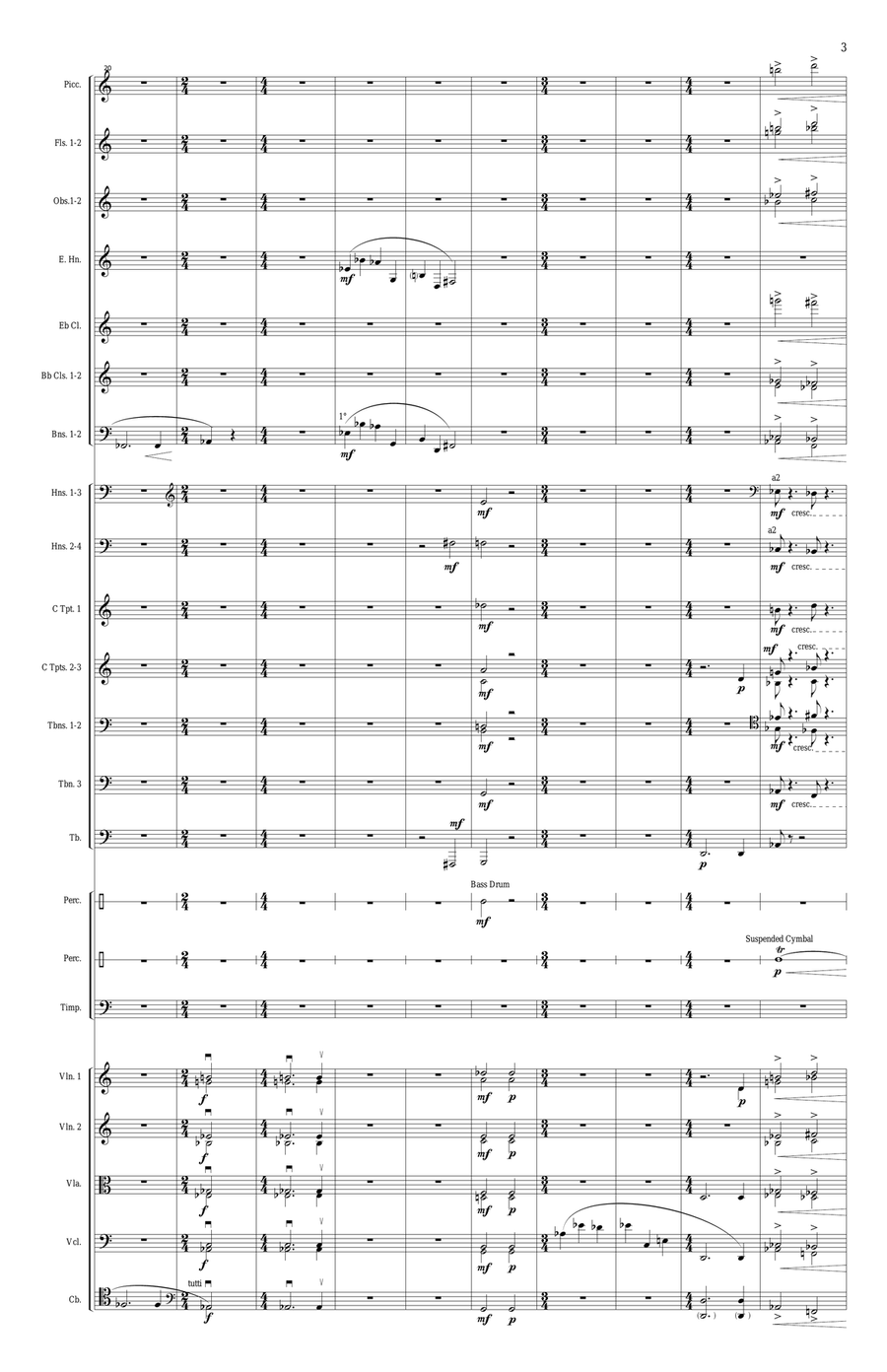 Tamanar for Orchestra Tamanar for Orchestra Full Orchestra scores gallery preview page 4