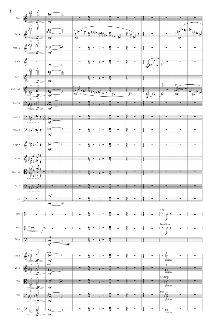 Tamanar for Orchestra Tamanar for Orchestra Full Orchestra scores gallery preview page 5