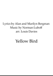 Yellow Bird