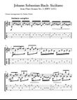 Siciliano from Flute Sonata No. 2 (BWV 1031) guitar arrangement