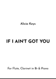 If I Ain't Got You