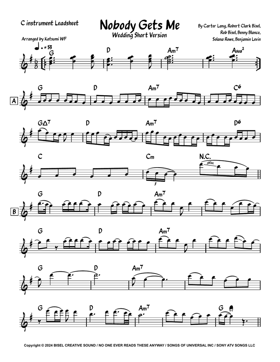 Nobody Gets Me Nobody Gets Me Piano scores gallery preview page 1