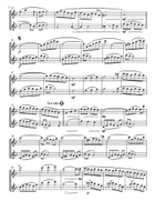 La Fiesta for Two Flutes Flute Duet scores gallery preview page 3