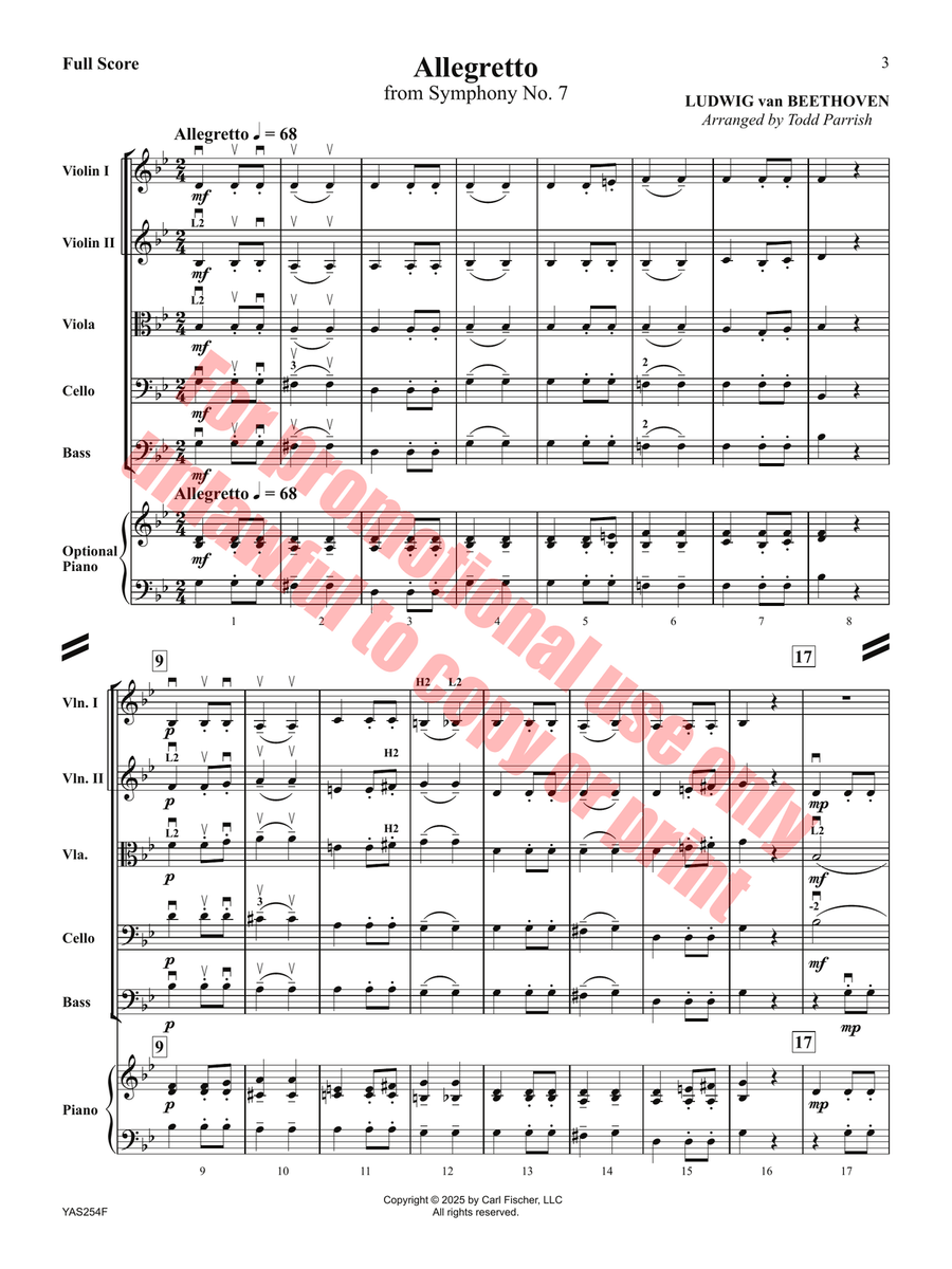 Allegretto Orchestra scores gallery preview page 4