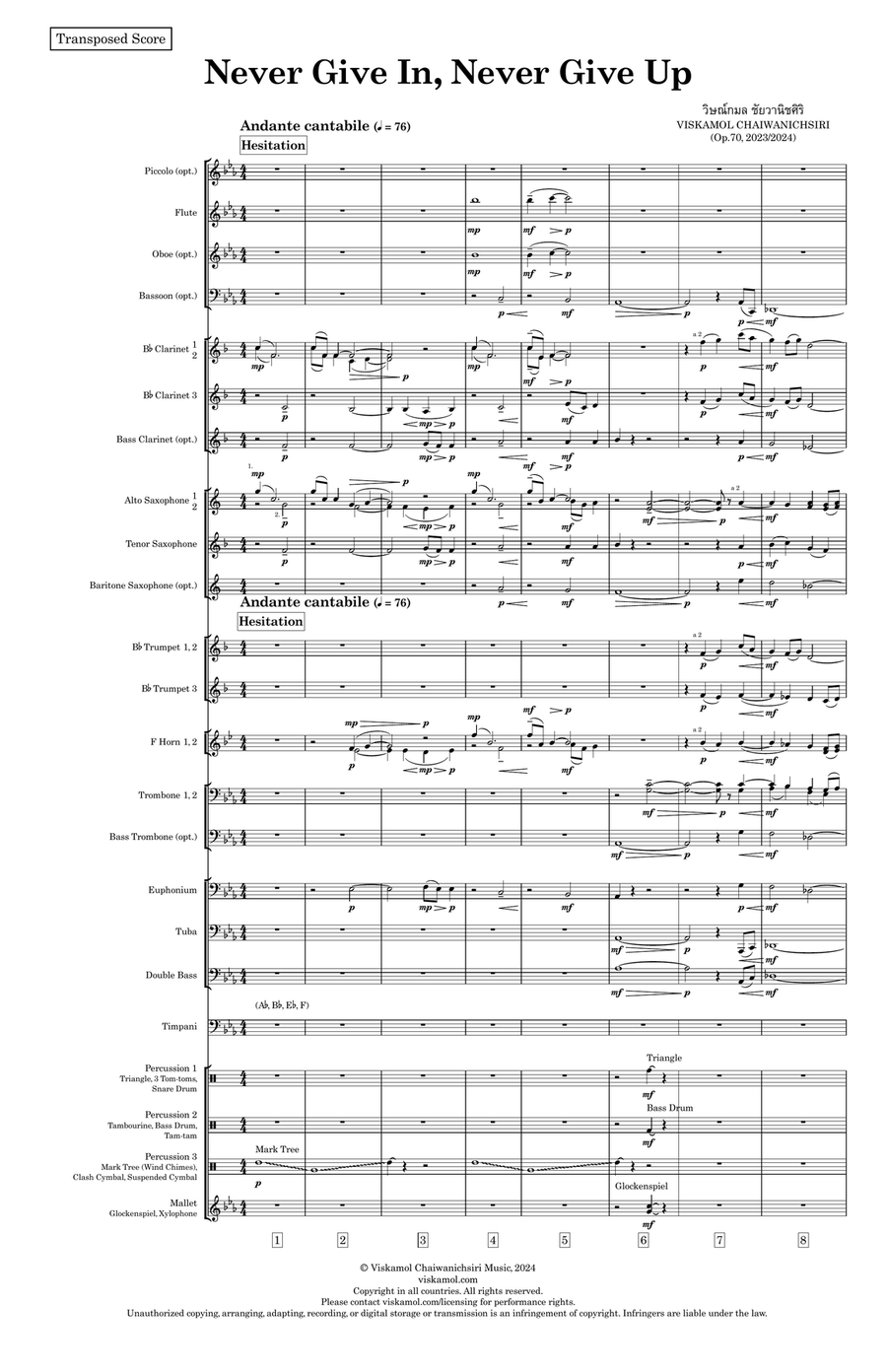 Never Give In, Never Give Up - Score Only Concert Band scores gallery preview page 5