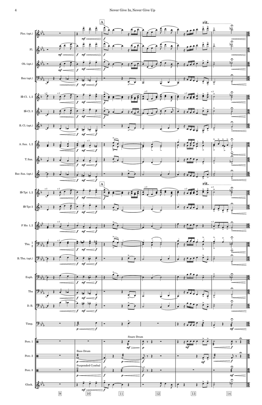 Never Give In, Never Give Up - Score Only Concert Band scores gallery preview page 6