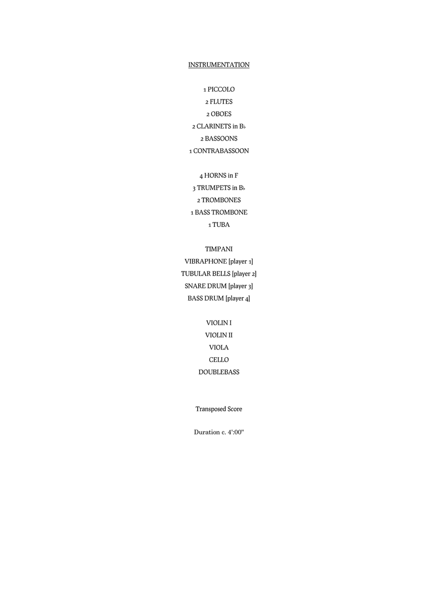Raining Blood - Score Only Full Orchestra scores gallery preview page 3