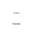 Sonata BWV1032 for Flute Ensemble